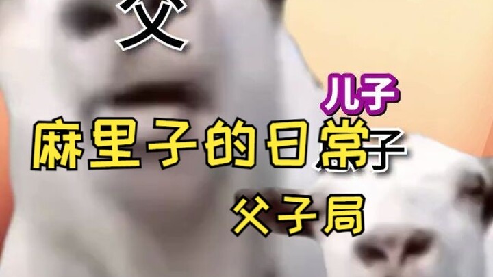 【Video gốc】Hai cha con tìm đến Mariko để đánh Apex | Meme mèo