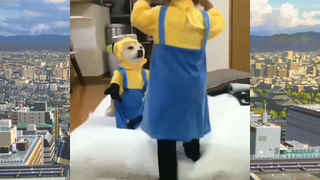 CUTE PET น่ารัก&ตลก 14