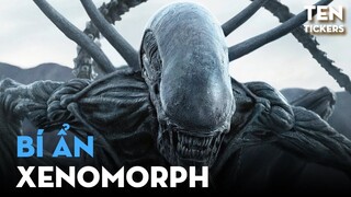 Xenomorph - Nét Đẹp Ngự Trị Trong Sự Kinh Dị | Ten Tickers