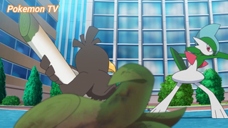 Pokemon (Short Ep 60) - Battle: Satoshi x Rinto (Phần 1) #pokemon