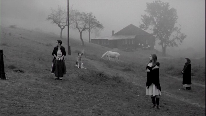 Tích lũy thẩm mỹ | Tấm gương hình ảnh thơ của Andrei Tarkovsky nhìn lại hành trình thời thơ ấu của ô