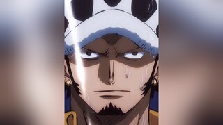 anh chồng số1 của toyy :33 anime onepiece trafalgarlaw trafalgardwaterlaw