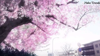 Free - SS3 - Tập 1 - 2019 - HD