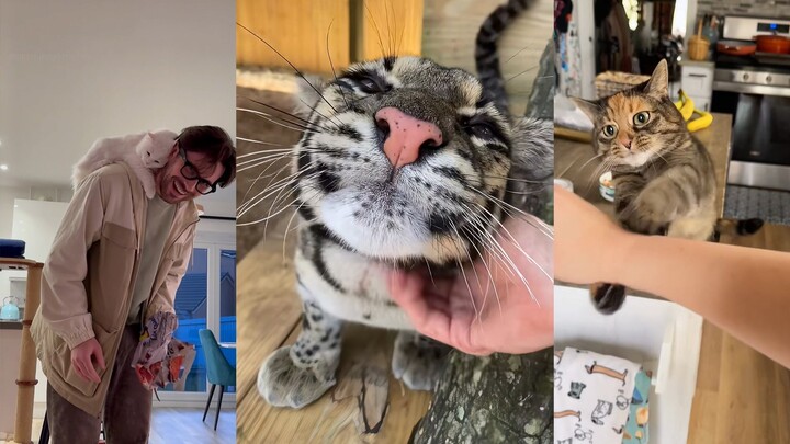 It’s kind of a pain how clingy this cat is.