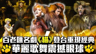 此生必看！百老匯名劇《貓》登台重現經典　華麗歌舞震撼眼球｜musical《cats》perform in Taipei Arena｜中時新聞網