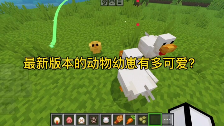 Bayi hewan versi baru akhirnya bukan lagi anak berkepala besar!