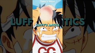 Garp LOVES Luffy’s Antics #anime #onepiece #luffy #shorts