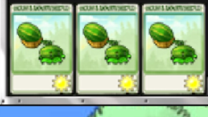I got 8 rows of watermelons! This is too much!