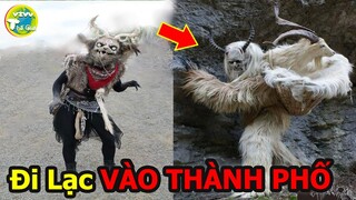 8 Quái Vật Đời Thực Mà Con Người Chỉ Vừa Mới Phát Hiện Ra Chúng |Vivu Thế Giới