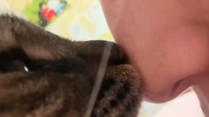 Aroma kucing kecil memang aroma kucing kecil