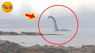 🔥7 Sự Thật NGÃ NGỬA Về Quái Vật Hồ Loch Ness Mà Bạn Đã Bị Dắt Mũi Bấy Lâu Nay | Khám Phá Thú Vị