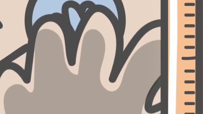 [Little Lion] Virgo teacher: A class must be neat and tidy~