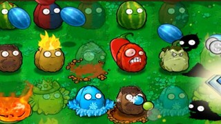 If you've got the guts, let Nuts take a maternity leave!