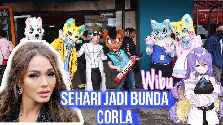 Wibu Harus Nonton || #hendsu #anime #wibu