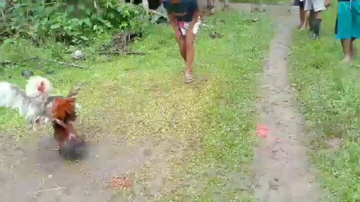 tukong lang sakalam💪
