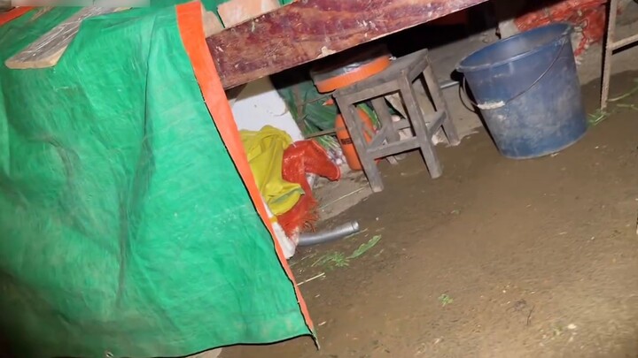 เป็นไปได้ไหมที่จะรวม King Kong Leg อันทรงพลังเข้ากับการกำจัดหนู?