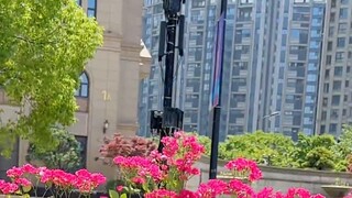 Bạn rất thích chụp ảnh và hay cười nên đừng để tóc bạc, bạn sẽ vui đấy!