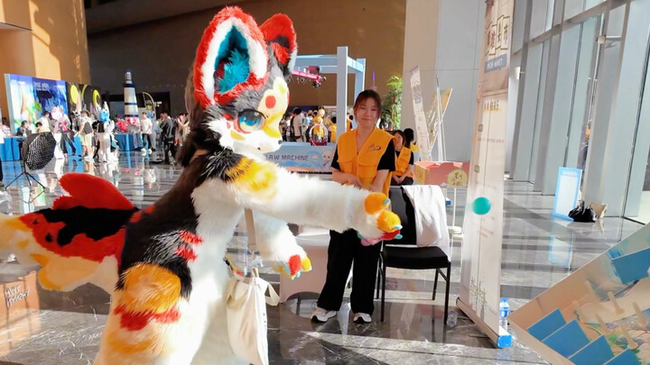 Tớ đây, Mèo Mèo, mà còn là cao thủ chơi bóng nữa!