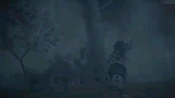 Animation garden party