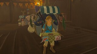 Link using Beedle's Backpack for a day - The Legend of Zelda Breath of the Wild