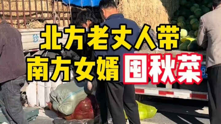 حموي الشمالي يأخذ صهره الجنوبي لتخزين الخضروات الخريفية!