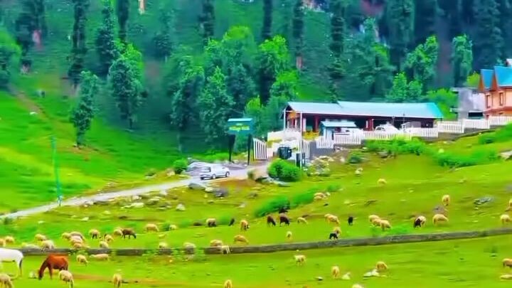 beuty of the world 🌹🌹🌹