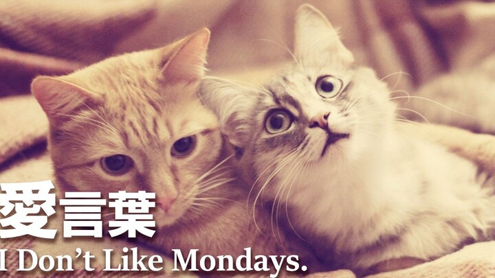 【Yijuanyou】Love Yanteng / I Don't Like Mondays. (Words of Love)【Acapella】
