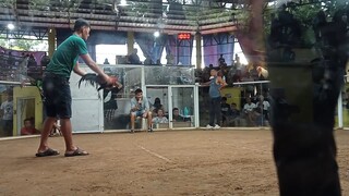 second fight WIN @LOON ARENA BOHOL entry:CAMBANAY champion po..jan.22 2025