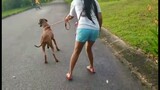 goodexercise while returning the dog to thier owner