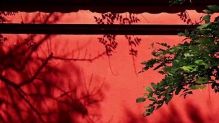 Young people do not know the taste of sorrow, so they force themselves to express sorrow in order to