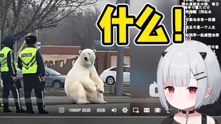 宝宝看动物迷惑行为大赏