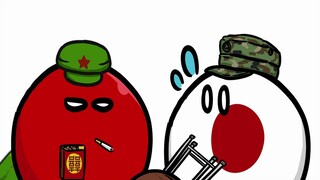 【波兰球】各国自觉
