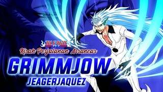 Kisah Grimmjow Jeagerjaquez : Arrancar Brutal Espada No. 6 | BLEACH