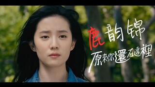 【AI】Lu Yunjin, apa yang akan kamu gunakan untuk membayar hutangmu kepadaku