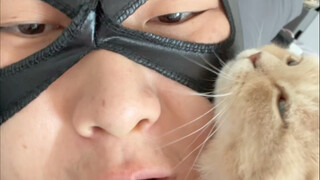 I admit it, I abuse cats.