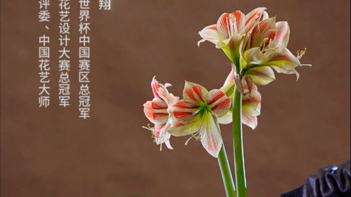 การจัดดอกไม้ที่มักทำให้เข้าใจผิด การจัดอย่างหยาบคายถือเป็นการไม่เคารพต่อดอกไม้ หากในใจไม่มีภาพของดอก