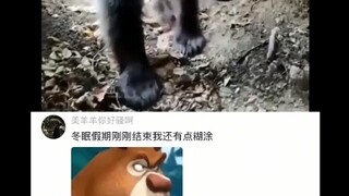 #Hot Comments#Funny#Entertainment#Share Happiness