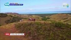 Law of the Jungle in New Caledonia [6] ENG SUB