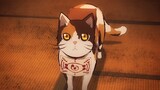[Sejarah Karakter Kimetsu no Yaiba] Chachamaru Kimetsu no Yaiba maskot pahlawan kucing pembawa pesan