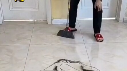 Ahli ada di kalangan rakyat, pemandangan yang indah bagaikan lukisan#