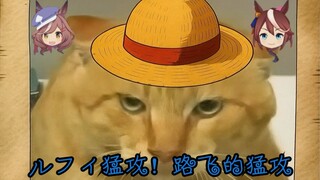 【哈基米音乐】耄耋的猛攻《ルフィ猛攻！(路飞的猛攻)》