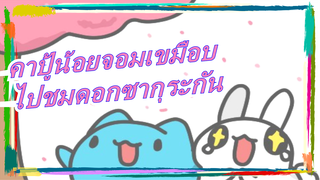 คาปู้น้อยจอมเขมือบ | ไปชมดอกซากุระกันเถอะ