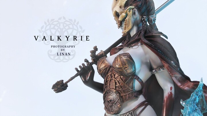ตอบสนองทุกจินตนาการของคุณเกี่ยวกับน้องสาวราชวงศ์~Sideshow Valkyrie