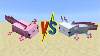 AXOLOTL VS AXOLOTL MINECRAFT