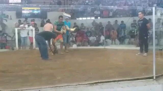 Nakachamba nanaman Ang papa ko