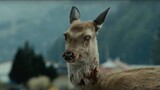 Train to busan zombie deer 🦌 scene 🤯😱😬 #shorts