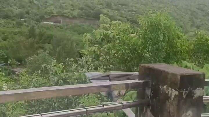 👑²⁰²⁶/₀₃.₀₈“不管岁月奈我何,我心依旧少女心❤”