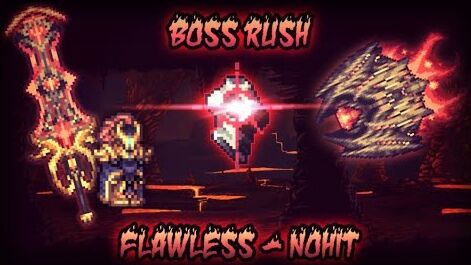 Terraria Calamity mod Boss rush no hit - BiliBili