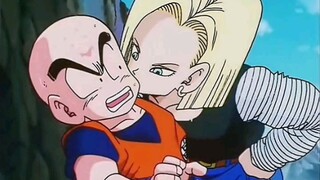 "Dragon Ball" Seberapa besar cinta Colin pada No. 18 hingga membuat No. 18 begitu menyakitkan?