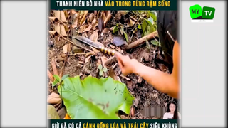 Cuộc sống hoang dã trong rừng p4